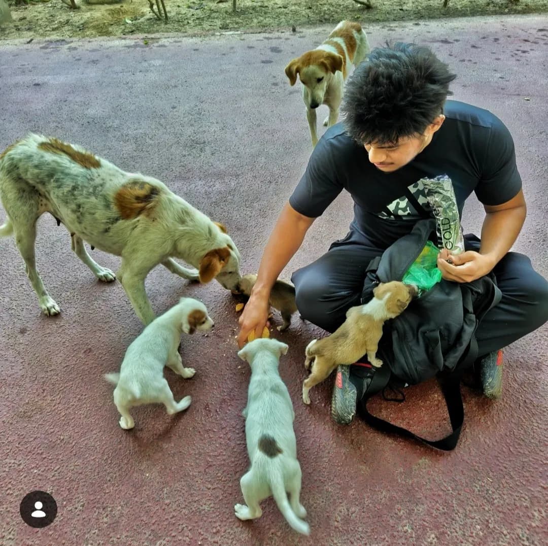 Feeding street puppies