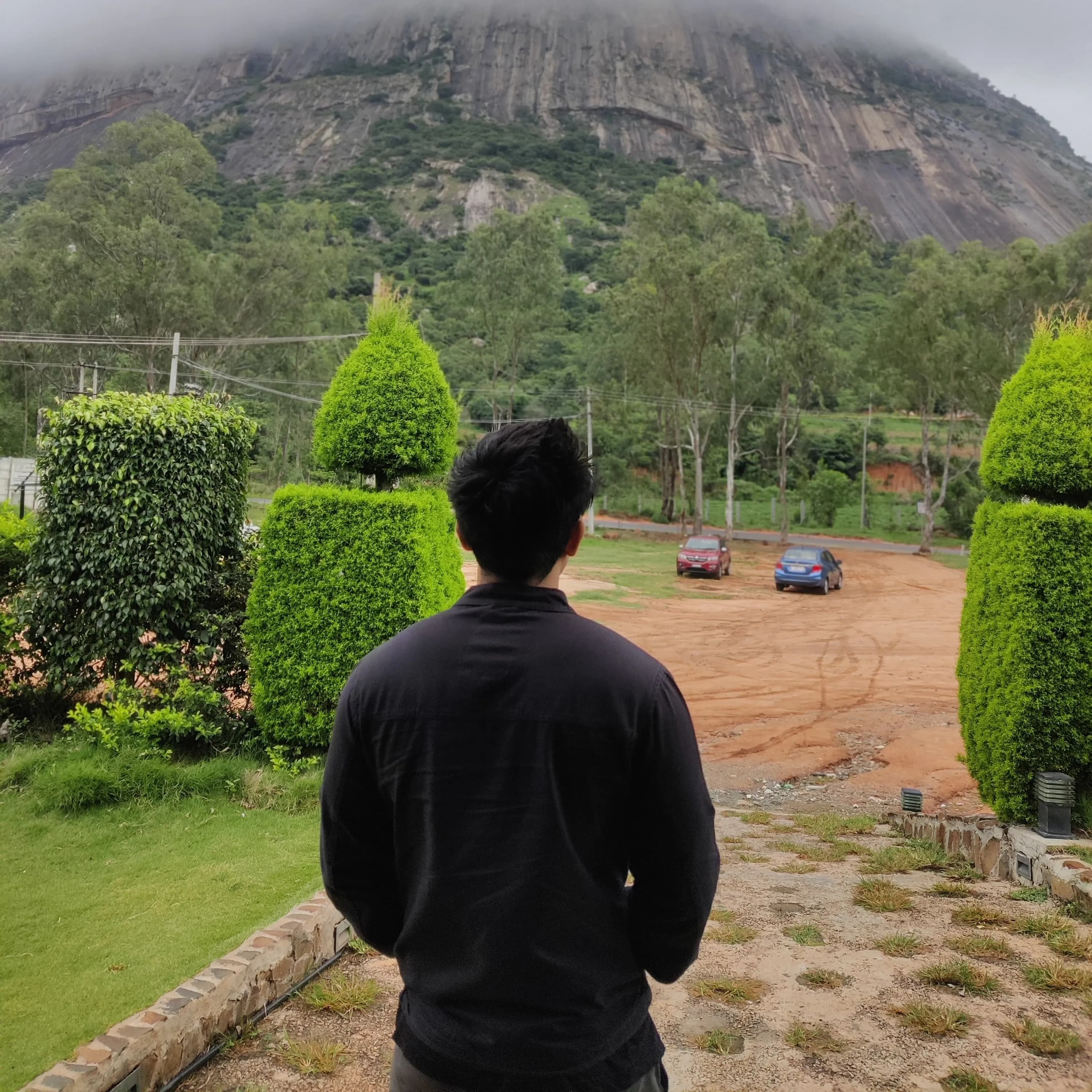 Feeding street puppies